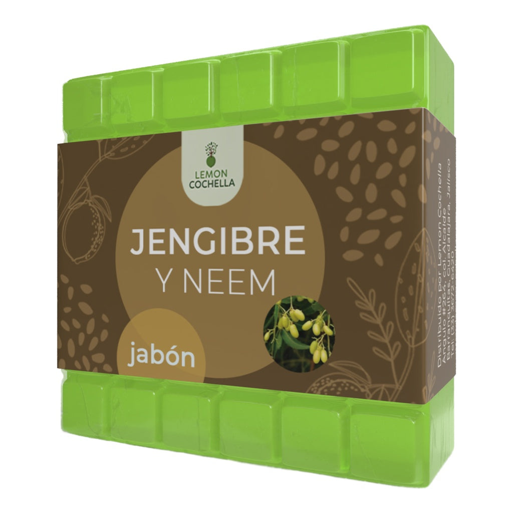 JABÓN JENGIBRE Y NEEM LEMON COCHELLA